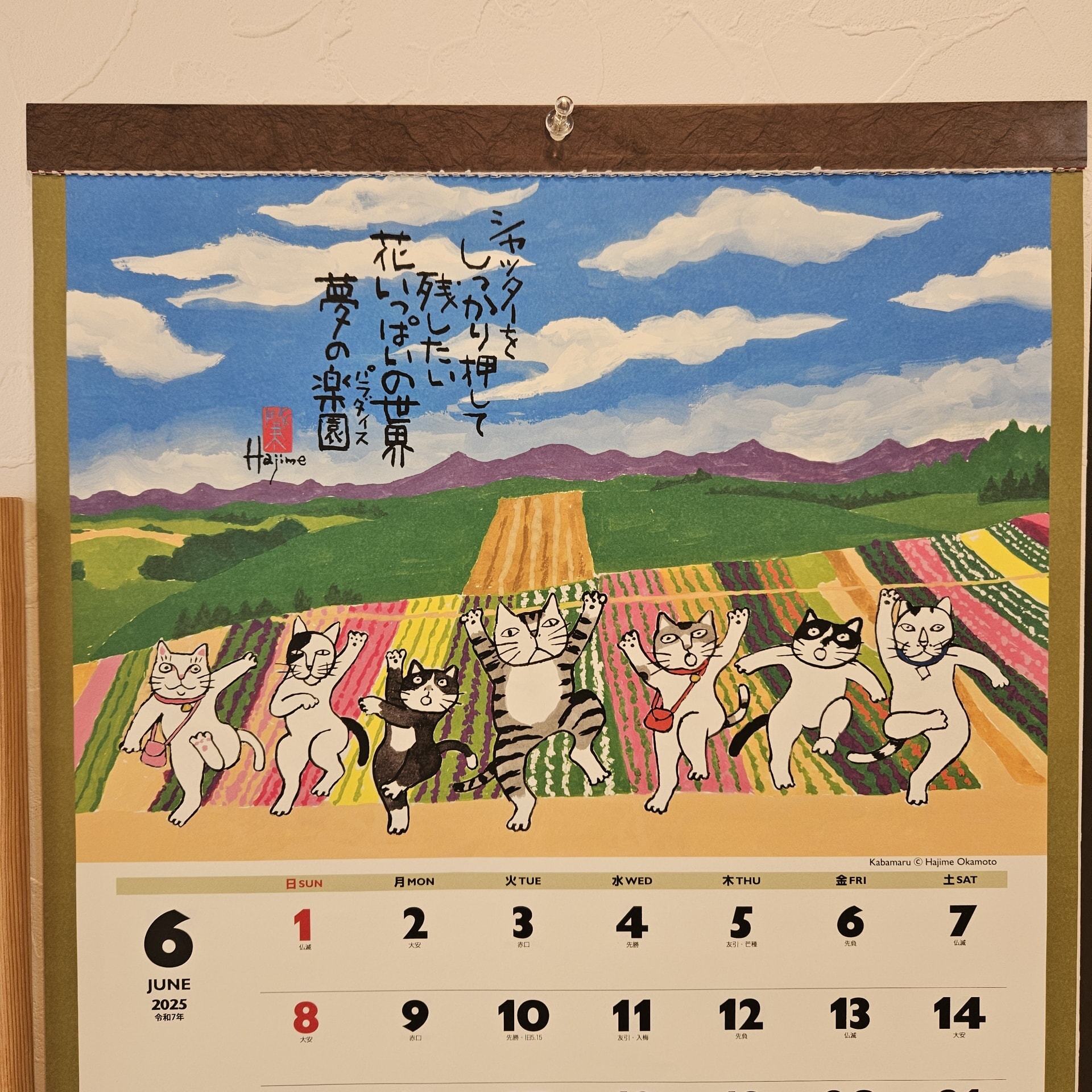 【教室ブログ】2025年6月開始！