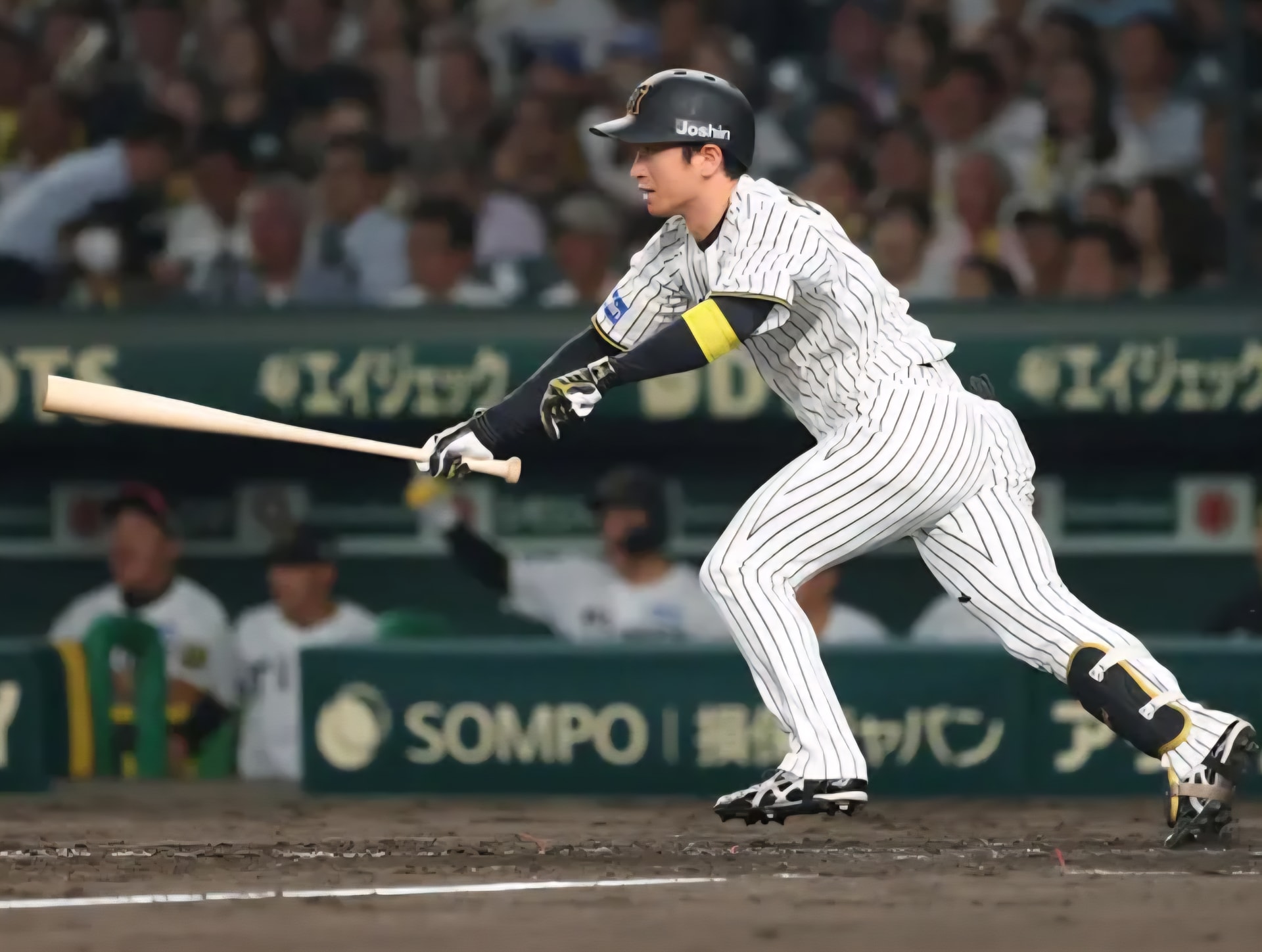 動きと感覚のズレをなくす方法 ― 背骨＝センターバランスの秘密