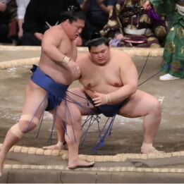 大の里が示した“ブレない強さ”。勝負を支える｢基礎とボディバランス｣の重要性