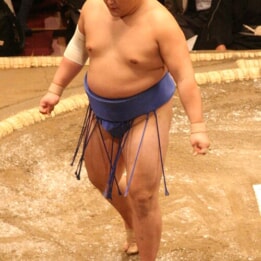40歳で金星!玉鷲が教えてくれた「年齢を超える身体の使い方」 40歳で金星!玉鷲が教えてくれた「年齢を超える身体の使い方」
