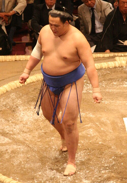 40歳で金星！玉鷲が教えてくれた「年齢を超える身体の使い方」
