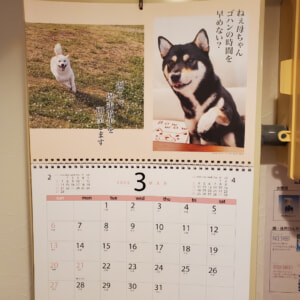 【教室ブログ】3月の犬川柳