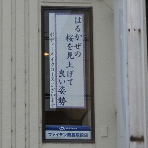 【教室ブログ】最新川柳 【教室ブログ】最新川柳