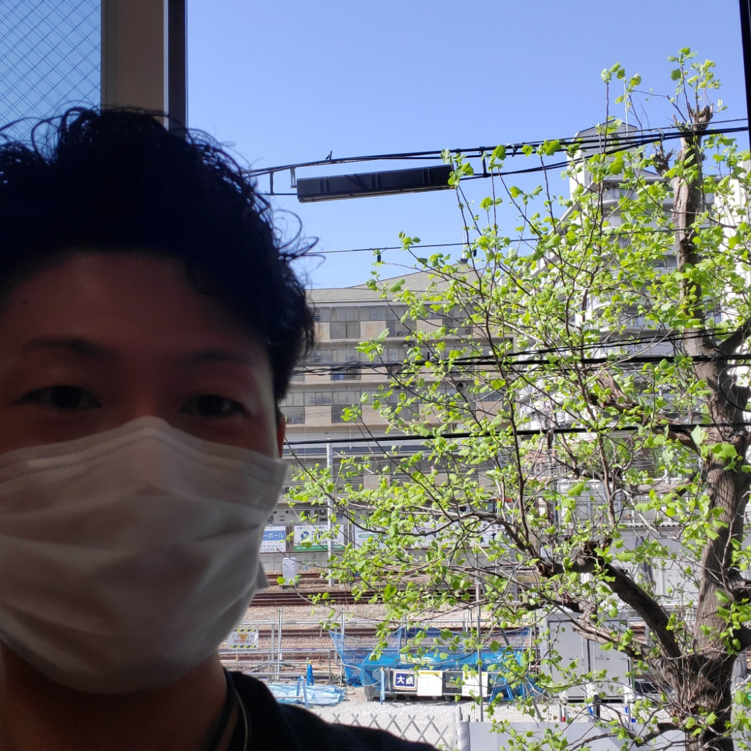 【教室ブログ】スタジオ前の若葉 【教室ブログ】スタジオ前の若葉