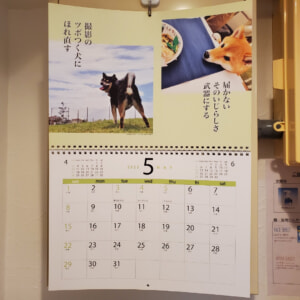 【教室ブログ】5月の犬川柳