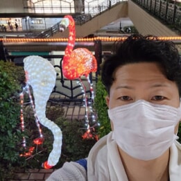 【芦屋のはるかぜ】帰ってきたフラミンゴ 【芦屋のはるかぜ】帰ってきたフラミンゴ