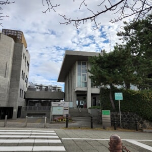 【芦屋のはるかぜ】冬支度の芦屋川