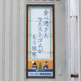 【教室ブログ】最新川柳 【教室ブログ】最新川柳
