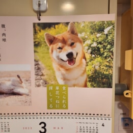 【教室ブログ】3月の犬川柳 【教室ブログ】3月の犬川柳