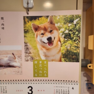 【教室ブログ】３月の犬川柳