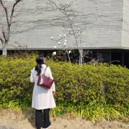 【芦屋のはるかぜ】春霞の芦屋川 【芦屋のはるかぜ】春霞の芦屋川