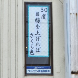 【教室ブログ】最新川柳 【教室ブログ】最新川柳