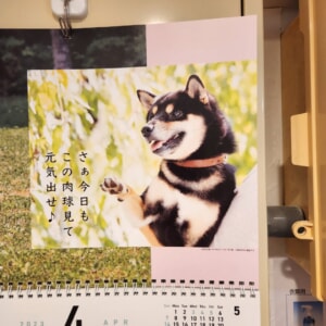 【教室ブログ】4月の犬川柳