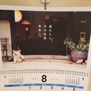 【教室ブログ】8月の犬川柳