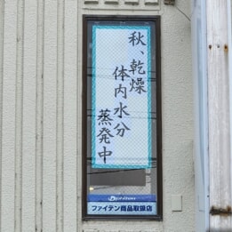 【教室ブログ】最新川柳 【教室ブログ】最新川柳
